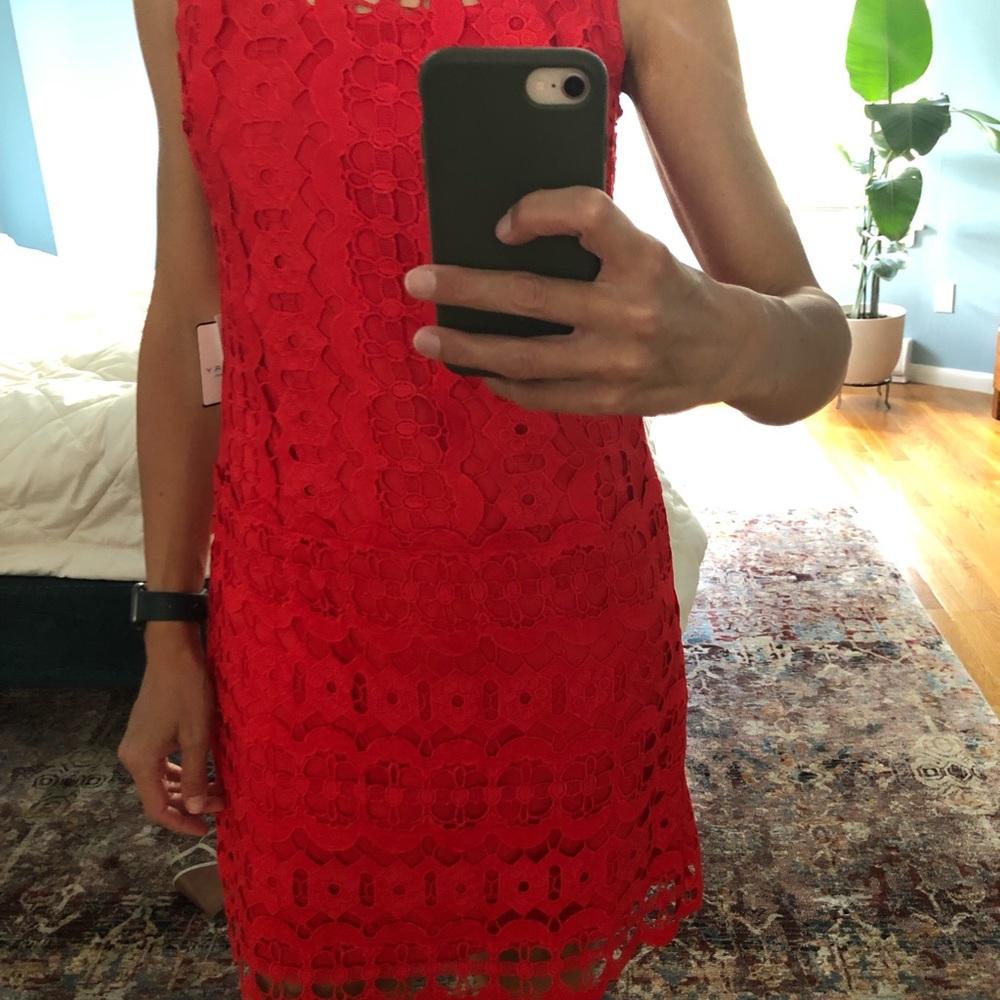 Very pretty laundry dress